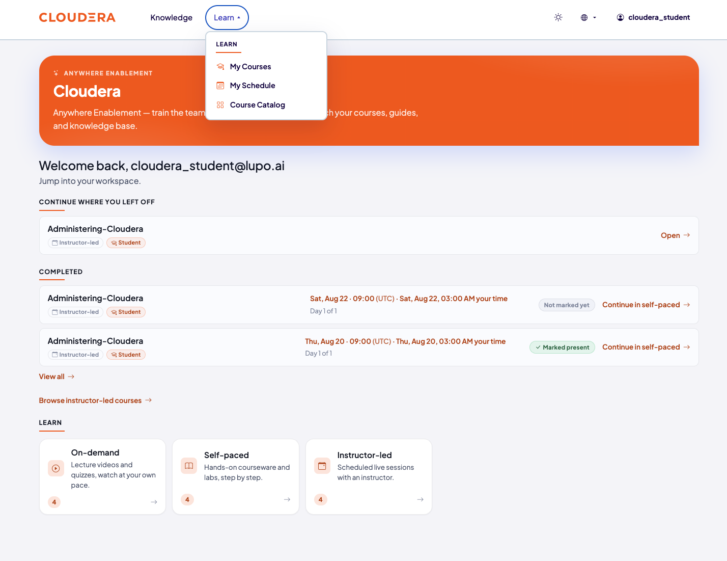 Branded company home page, with Continue where you left off, Completed, and a Learn section with cards for On-demand, Self-paced, and Instructor-led