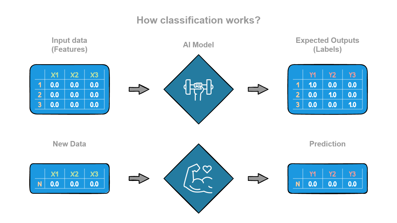 classification